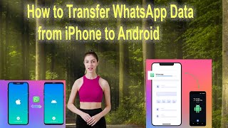 How to transfer WhatsApp data from iPhone to Android Phone [upl. by Nnylakcaj]