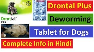 Drontal Plus Deworming Tablet for Dog in Hindi [upl. by Aerdied]