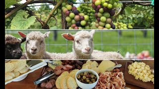 Agritourism Definitions and Standards around the World [upl. by Alyson263]