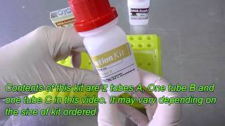 DNA isolation method DNA extraction method from one drop of blood Plasmid isolation Genekam [upl. by Niak802]