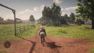 Red Dead Redemption 2 Ambience Spending 2 days at Braithwaite Manor picking Night Scented Orchids [upl. by Ihcekn600]