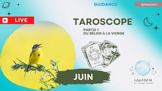 Guidance Tarot juin 2024 [upl. by Ariamo]