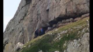 Mountain Goats  amazing rock climbers [upl. by Ennaitsirk665]