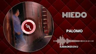 KARAOKE MIEDO DVJ [upl. by Antipas186]