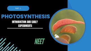 Photosynthesis in higher plants Part1 Introduction Early experiments [upl. by Airdnekal]