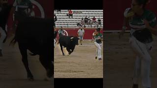 Bull 🐂 Riding Bull Jumping  Rodeo Sports sports mechanicalbullriding bullriding bull rodeo [upl. by Olwen]