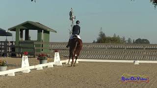 020D Andrea Baxter on The Big Easy CCI2 Short Dressage Woodside October 2024 [upl. by Enelrad]