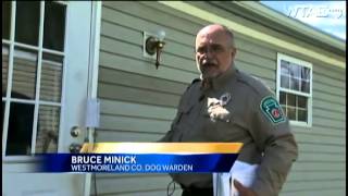 Dog warden canvassing Westmoreland County for pet licensing compliance [upl. by Fosdick]