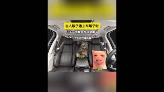 当人贩子遇上车贩子时 猫meme 猫meme小剧场 万万没想到 意想不到的结局 funny 故事 猫meme小剧场 cat 貓 [upl. by Nelleh]