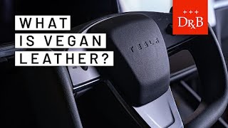 What is Vegan Leather Everything You Need to Know [upl. by Tunnell]