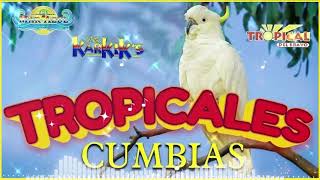 🔆CUMBIAS TROPICALES MIX 🦜VIEJITAS TROPICALES🎺ACAPULCO TROPICAL TROPICAL FLORIDA LOS KARKIS [upl. by Lydon]