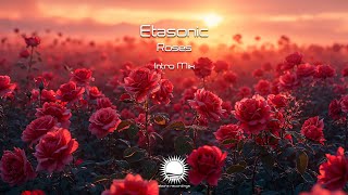 Etasonic  Roses Intro Mix [upl. by Louth583]