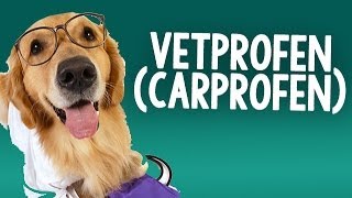 Vetprofen carprofen Caplets for use on Dogs with Osteoarthritis [upl. by Landre]