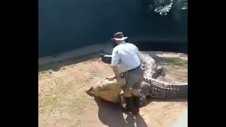 Crocodile handler bitten by Crocodile [upl. by September48]