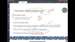 ZU Cytoskeleton Lecture [upl. by Goddart]