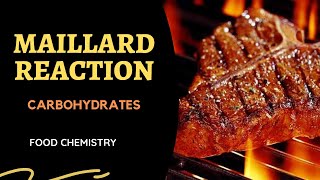 Maillard Reaction l Carbohydrates  Lesson 4 [upl. by Leund]