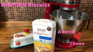 Einkorn biscuits seem to be a healthier choiceheres how we make them [upl. by Neelyk]