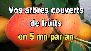 Verger Couvrez vos arbres de fruits en seulement 5 minutes par an [upl. by Natalie]