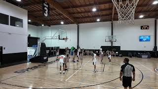 Renegades vs Team Lillard 15u 100524 [upl. by Oirazan]