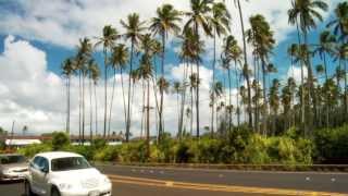 Royal Coconut Coast Kauai [upl. by Nhguavaj]