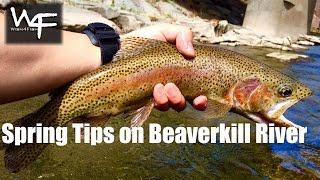 W4F  Fly Fishing quotSpring time on the Beaverkill Riverquot [upl. by Dinah]