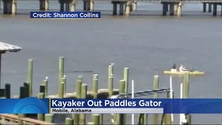 Video Kayaker Outruns Alligator In Alabama [upl. by Adnirual]