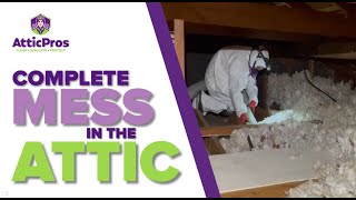 Complete Mess in the Attic  Ultimate Cleaning atticcleaning atticcleanup [upl. by Cote]