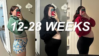 SECOND TRIMESTER PREGNANCY RECAP  cravings weight gain energy levels ultrasounds etc [upl. by Hseyaj]