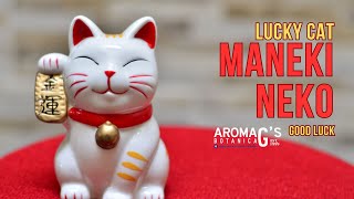 Lucky Cat Maneki Neko [upl. by Llennehc912]