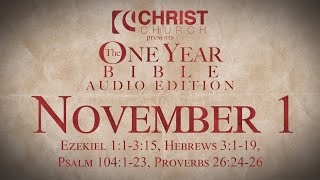 November 1  One Year Bible Audio Edition [upl. by Aerdnuahs32]