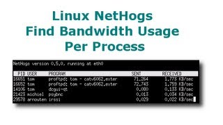 Linux Nethogs Tool Find Bandwidth Usage Per Process PID [upl. by Yukio]