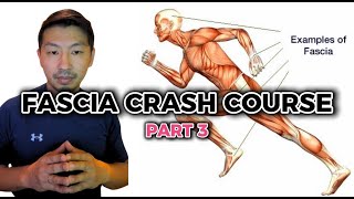 Introduction to Fascia Training Crash Course Part 3 of 4  Hyperarch Fascia Training [upl. by Wistrup233]