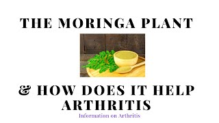 The Moringa Plant  How Can It Help Arthritis Sufferers [upl. by Pearl]