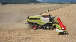 CLAAS LEXION 770 beim Einsatz der Agroprodukt Sonneberg FullHD [upl. by Nye94]