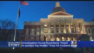 Calls For Sen Rosenberg To Resign After Ethics Investigation [upl. by Ahseal]