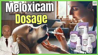 🔴 MELOXICAM FOR DOGS DOSAGE PRICE AND USES 🔴 [upl. by Rodmur]