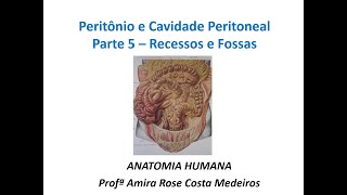 Peritônio Parte 5 Recessos e Fossas [upl. by Sremlahc]