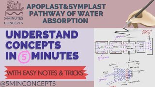 Mass flow bulk flow  Long distance transport Transport in Plant  Class11th  NEET5minconcepts [upl. by Olympia]