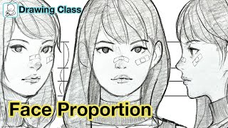 How to draw face  Face Proportions Drawing [upl. by Ramgad]