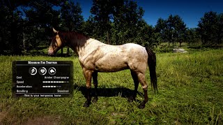 Missouri Fox Trotter RDR2 FASTEST1Min [upl. by Kirven806]