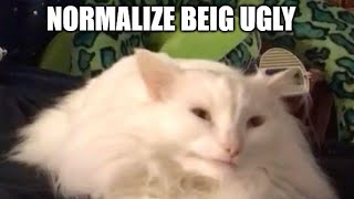 normalize beig ugly [upl. by Melesa]