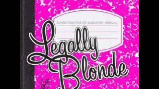 quotLegally Blonde Remixquot Karaoke [upl. by Luthanen]