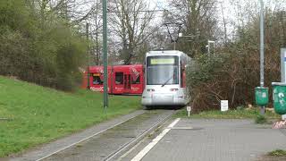 Rheinbahn NF8U an der Endhaltestelle Düsseldorf Uni OstBotanischer Garten Wendeschleife [upl. by Cacilia]