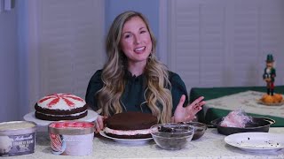 Hudsonville Ice Cream Peppermint Brownie Cake [upl. by Novihc]