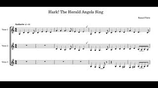 Rascal Flatts  Hark The Herald Angels Sing  Transcription [upl. by Sofie]