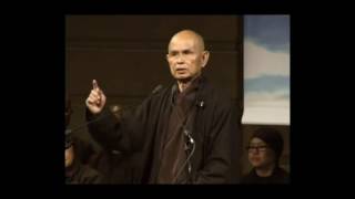 Thich Nhat Hanh talks about suicide prevention and how to handle difficult emotions [upl. by Suhploda281]