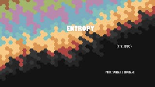 Entropy  Explained In Details [upl. by Akimaj802]