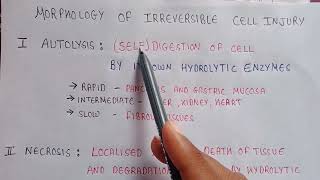 Autolysis of cell  Autolysis in pathophysiology  morphology of irreversible cell injury [upl. by Risay947]