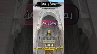 Rahman Ya Rahman  Mishary Rashid Al Afasy Nasheed  beutiful and famous Nasheed 3 [upl. by Ailima730]