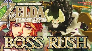 BOSSRUSH ALLE SILBERNE LEUNE ZELDA BREATH OF THE WILD Part 85 DeutschSwitch [upl. by Katerine]